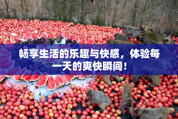 畅享生活的乐趣与快感，体验每一天的爽快瞬间！