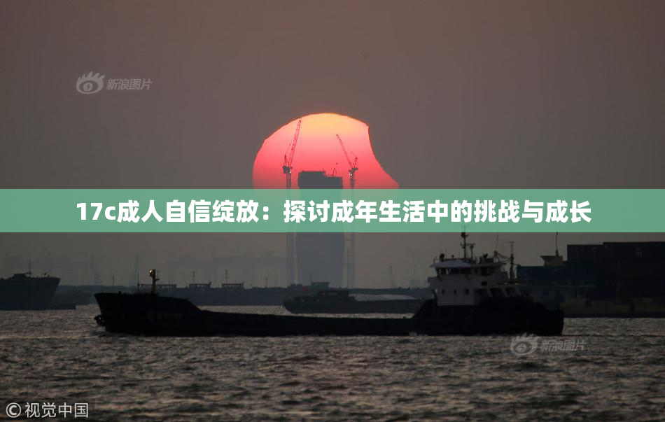17c成人自信绽放：探讨成年生活中的挑战与成长