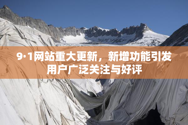9·1网站重大更新，新增功能引发用户广泛关注与好评
