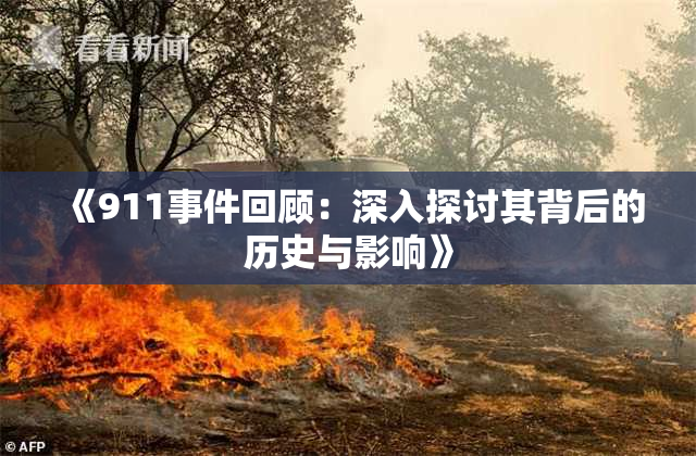 《911事件回顾：深入探讨其背后的历史与影响》