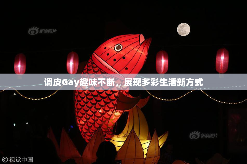 调皮Gay趣味不断，展现多彩生活新方式