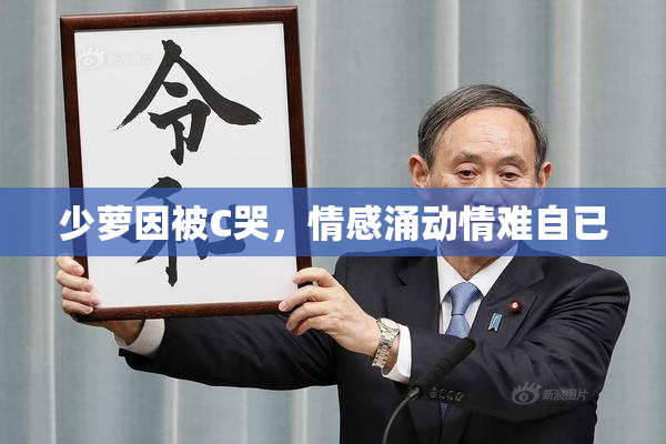 少萝因被C哭，情感涌动情难自已