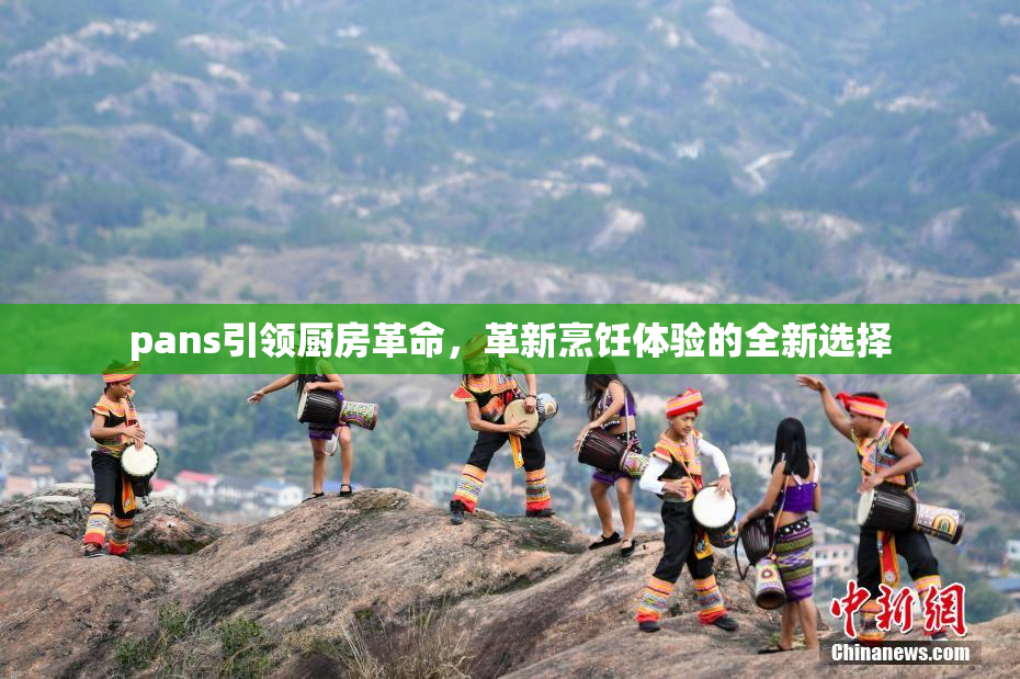 pans引领厨房革命，革新烹饪体验的全新选择