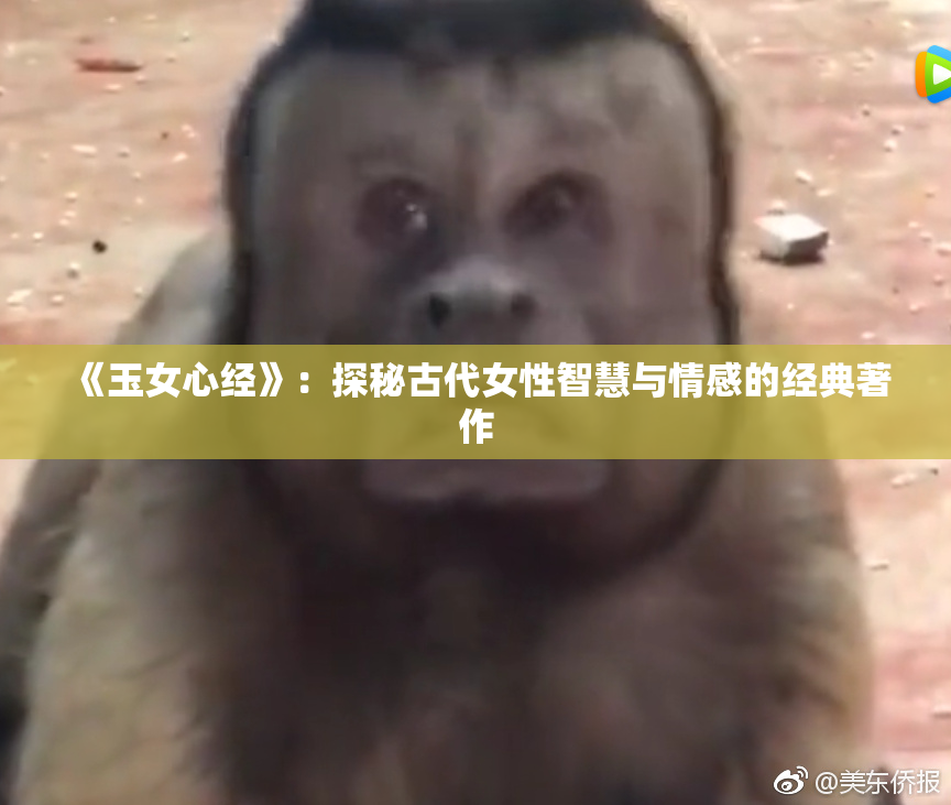 《玉女心经》：探秘古代女性智慧与情感的经典著作
