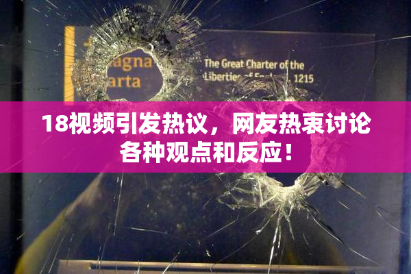 18视频引发热议，网友热衷讨论各种观点和反应！