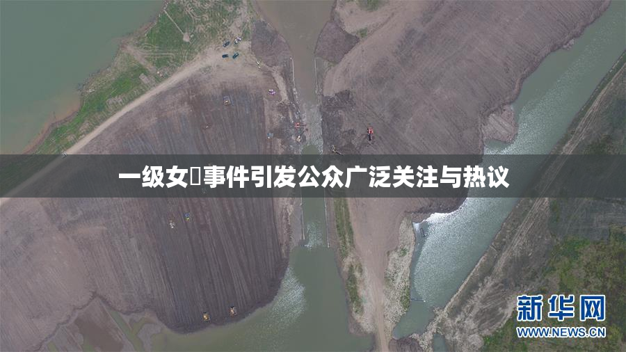 一级女婬事件引发公众广泛关注与热议