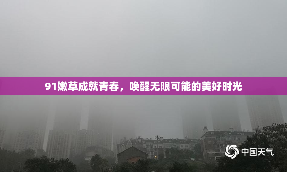 91嫩草成就青春，唤醒无限可能的美好时光