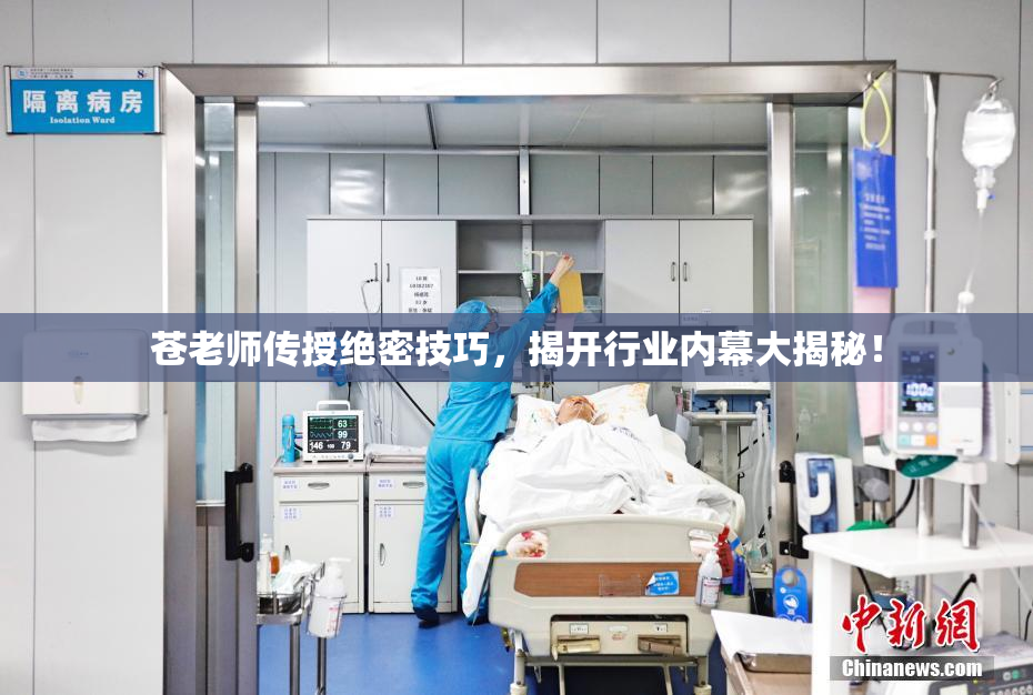 苍老师传授绝密技巧，揭开行业内幕大揭秘！
