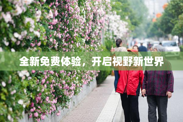 全新免费体验，开启视野新世界