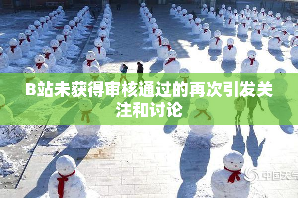 B站未获得审核通过的再次引发关注和讨论