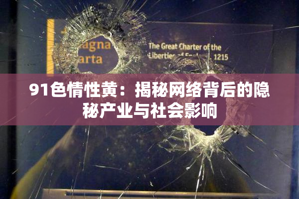91色情性黄：揭秘网络背后的隐秘产业与社会影响