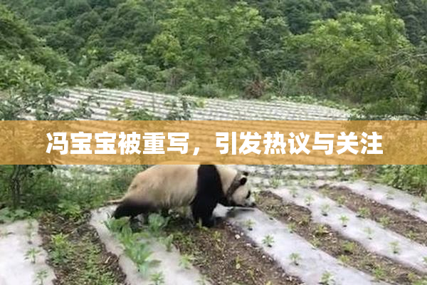 冯宝宝被重写，引发热议与关注