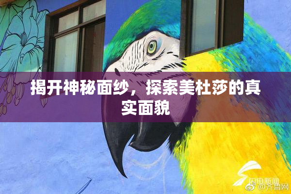 揭开神秘面纱，探索美杜莎的真实面貌