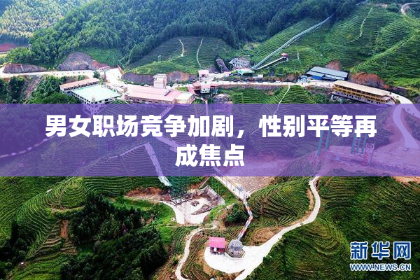 男女职场竞争加剧，性别平等再成焦点