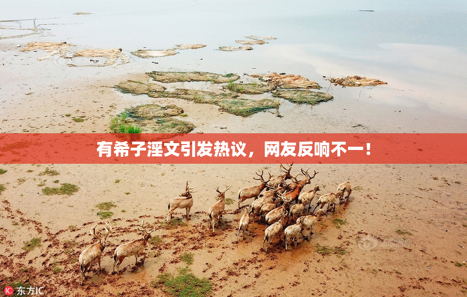 有希子淫文引发热议，网友反响不一！