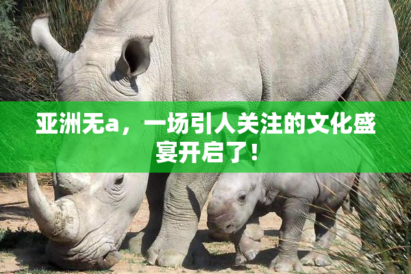亚洲无a，一场引人关注的文化盛宴开启了！