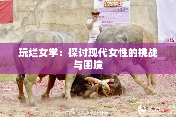 玩烂女学：探讨现代女性的挑战与困境