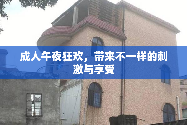 成人午夜狂欢，带来不一样的刺激与享受