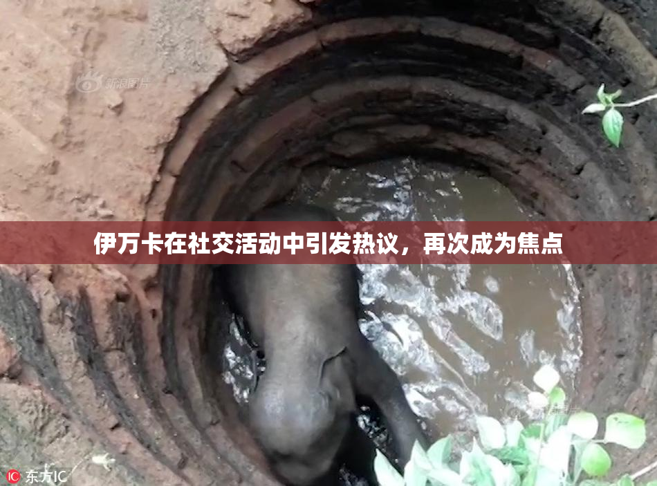 伊万卡在社交活动中引发热议，再次成为焦点