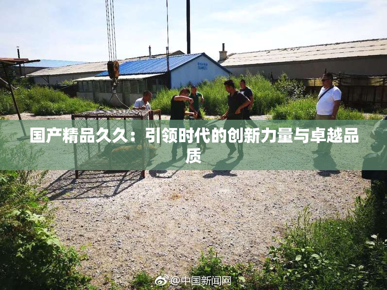 国产精品久久：引领时代的创新力量与卓越品质