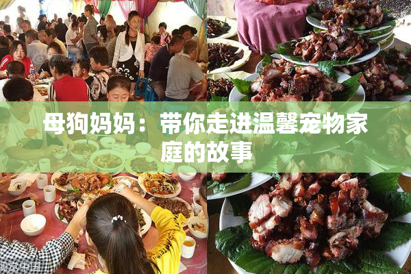 母狗妈妈：带你走进温馨宠物家庭的故事