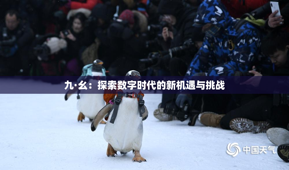 九·幺：探索数字时代的新机遇与挑战
