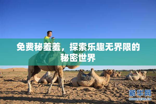 免费秘羞羞，探索乐趣无界限的秘密世界
