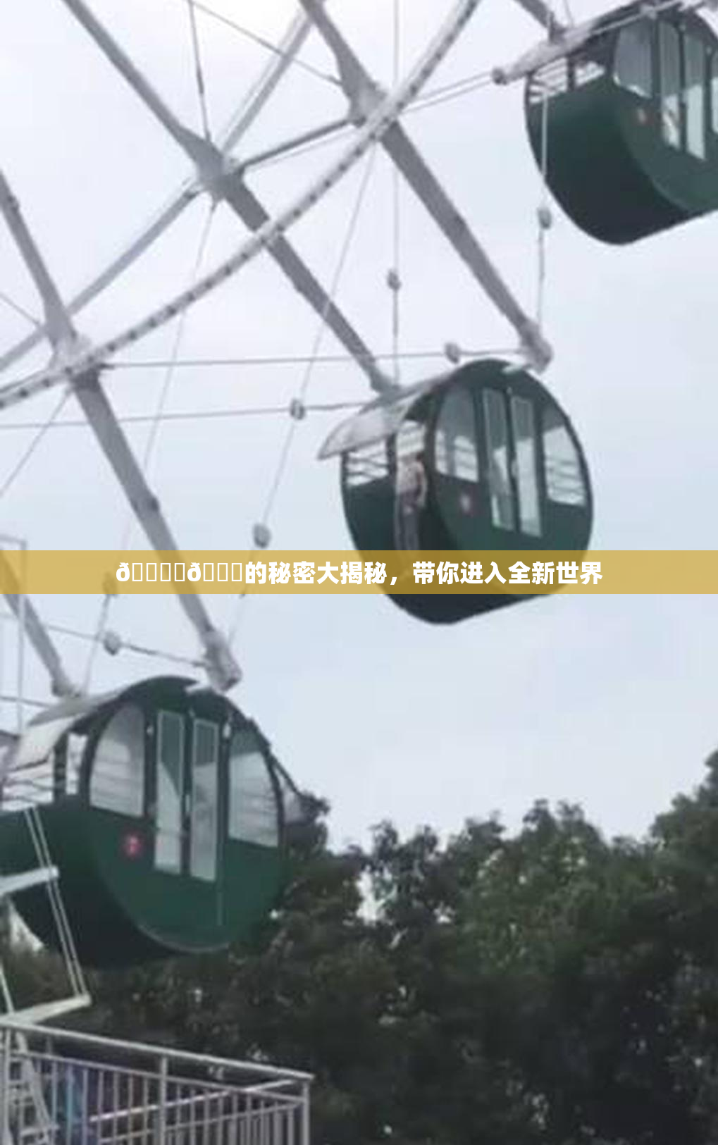 🔞‌🍌的秘密大揭秘，带你进入全新世界