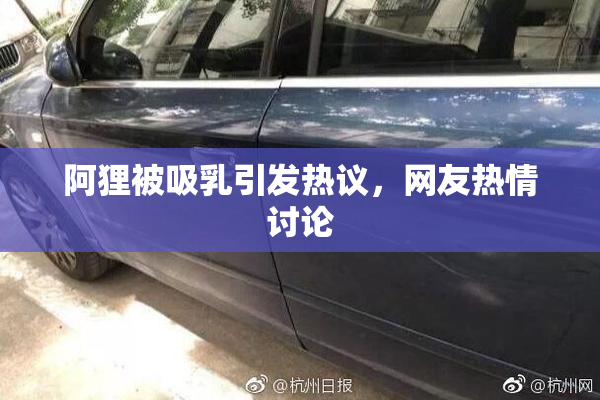 阿狸被吸乳引发热议，网友热情讨论