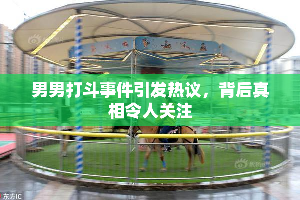 男男打斗事件引发热议，背后真相令人关注
