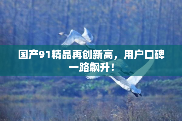 国产91精品再创新高，用户口碑一路飙升！
