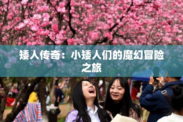 矮人传奇：小矮人们的魔幻冒险之旅