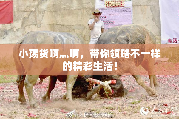 小荡货啊灬啊，带你领略不一样的精彩生活！
