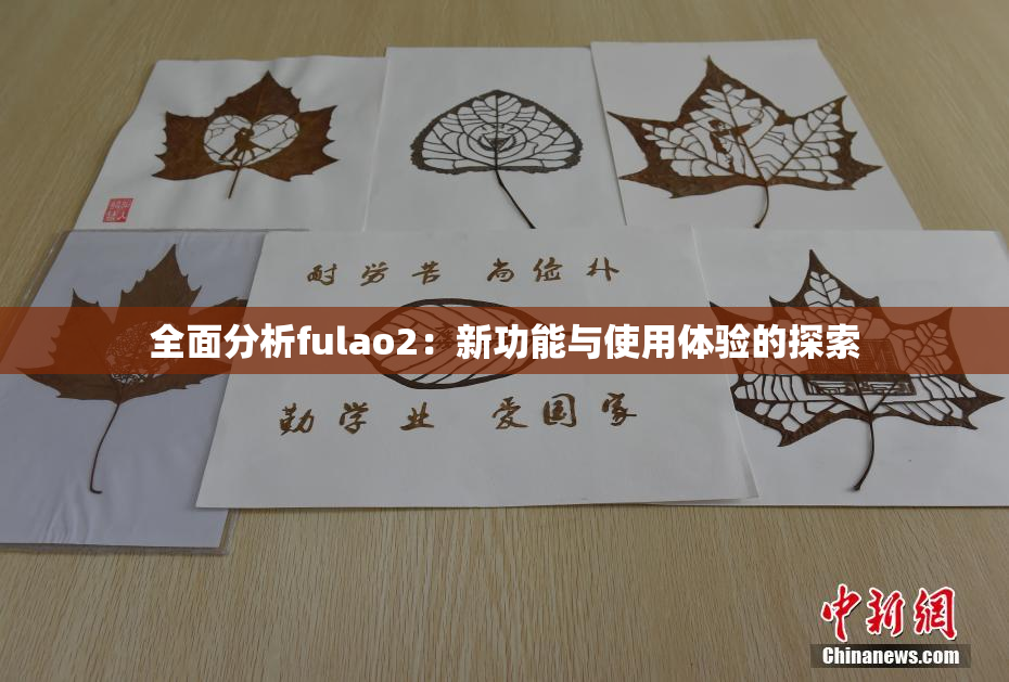 全面分析fulao2：新功能与使用体验的探索
