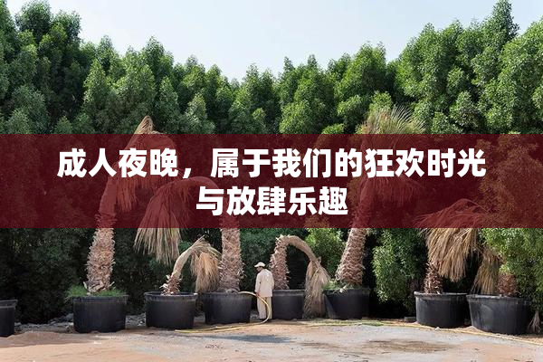 成人夜晚，属于我们的狂欢时光与放肆乐趣