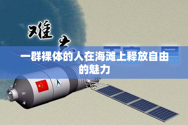 一群裸体的人在海滩上释放自由的魅力