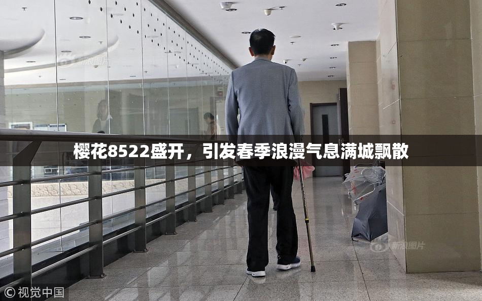 樱花8522盛开，引发春季浪漫气息满城飘散