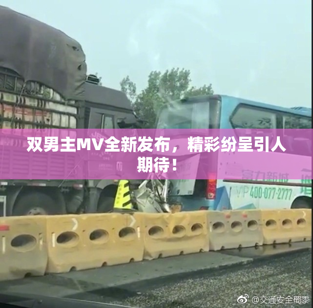 双男主MV全新发布，精彩纷呈引人期待！