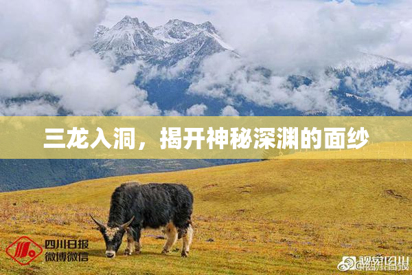 三龙入洞，揭开神秘深渊的面纱