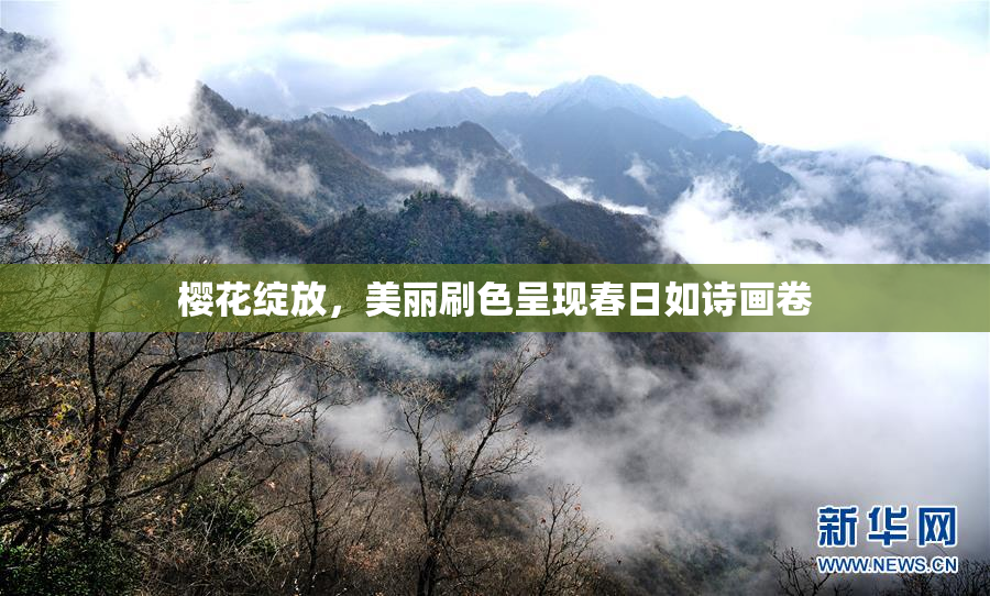 樱花绽放，美丽刷色呈现春日如诗画卷
