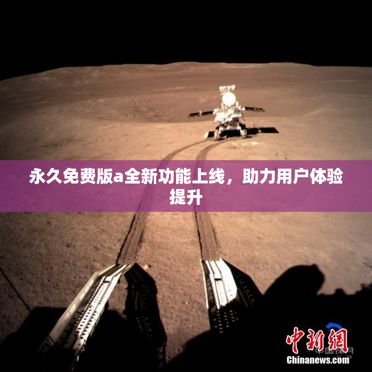 永久免费版a全新功能上线，助力用户体验提升