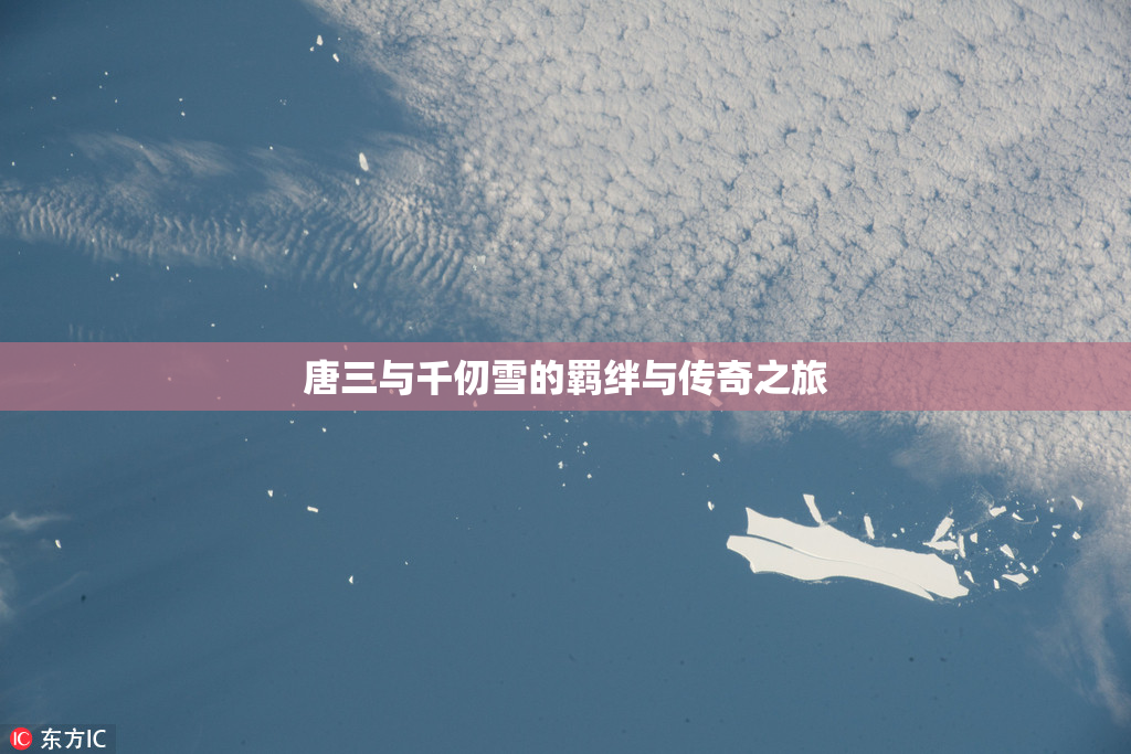 唐三与千仞雪的羁绊与传奇之旅