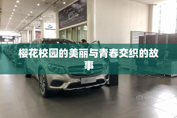 樱花校园的美丽与青春交织的故事