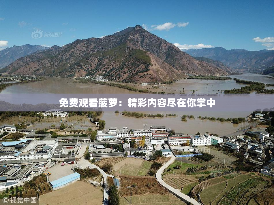 免费观看菠萝：精彩内容尽在你掌中