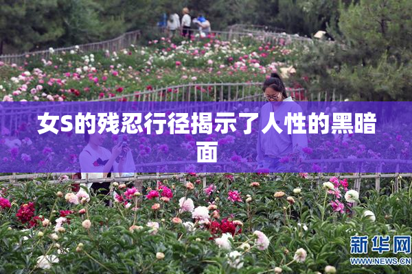 女S的残忍行径揭示了人性的黑暗面