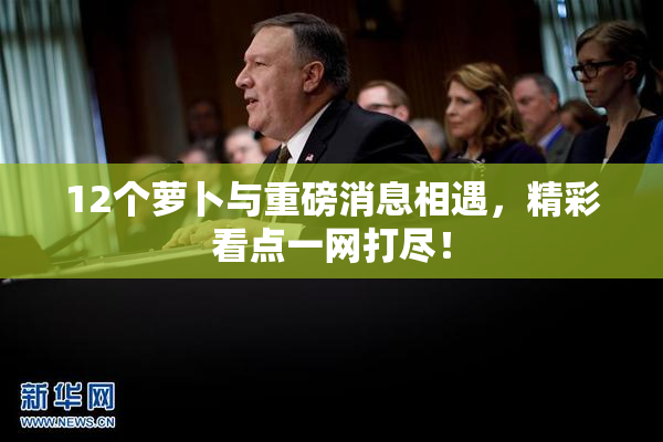 12个萝卜与重磅消息相遇，精彩看点一网打尽！