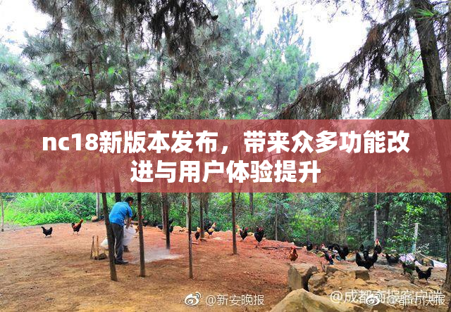 nc18新版本发布，带来众多功能改进与用户体验提升