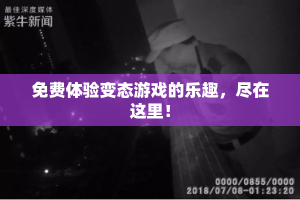 免费体验变态游戏的乐趣，尽在这里！