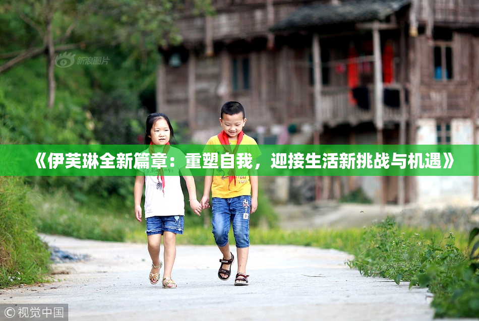 《伊芙琳全新篇章：重塑自我，迎接生活新挑战与机遇》