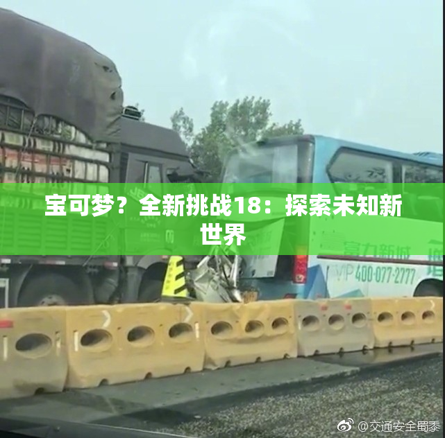 宝可梦？全新挑战18：探索未知新世界